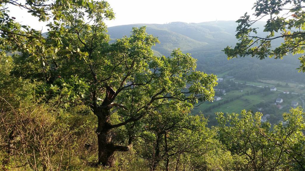 Porcelan Vendeghaz Διαμέρισμα Hollohaza Εξωτερικό φωτογραφία